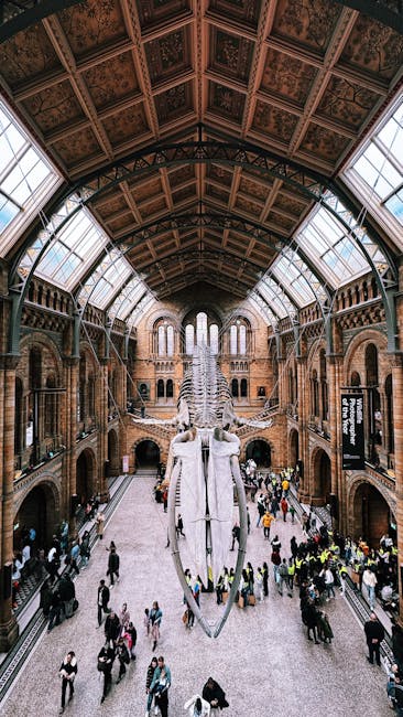 Photo by Erdi İrbit on Pexels