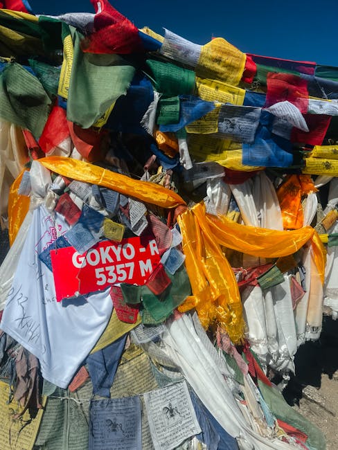 Photo by Marina Zvada on Pexels