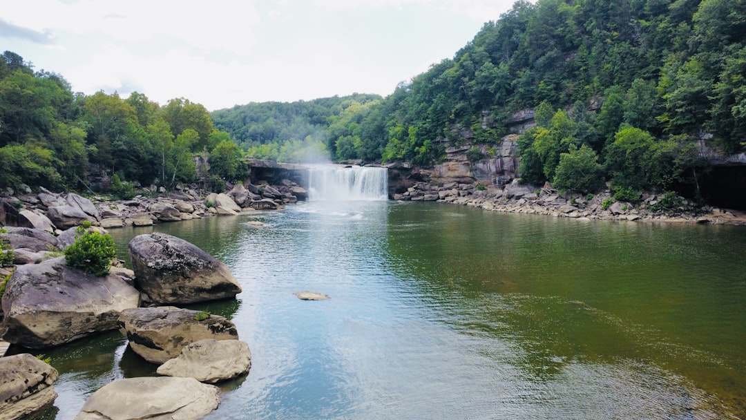 Photo by Daniel Gomez on Unsplash