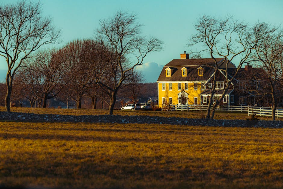 Photo by Brent Singleton on Pexels